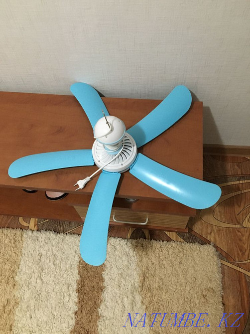 Mounted fan Kokshetau - photo 1