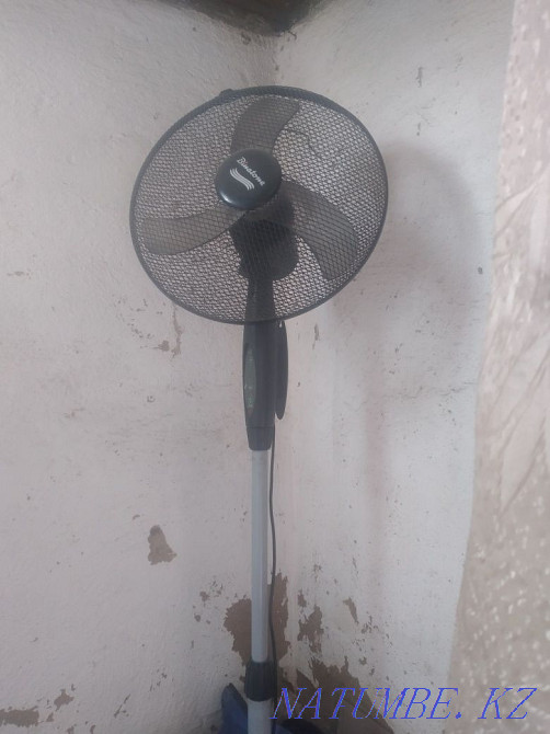 Sell fan Боралдай - photo 1