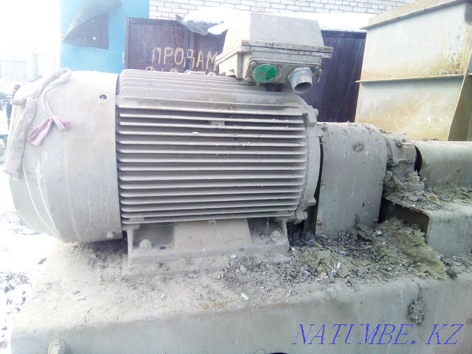 Snail extract motor 90 kW Kostanay - photo 3