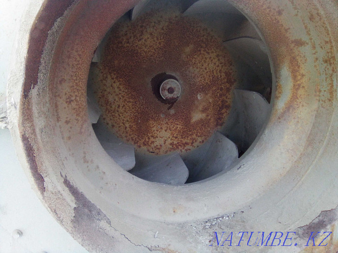 Snail extract motor 90 kW Kostanay - photo 4