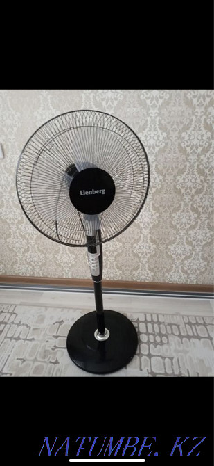 elenberg fan Ескельди би - photo 1