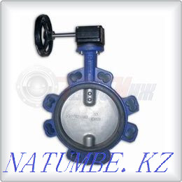 Butterfly valves Нуркен - photo 1