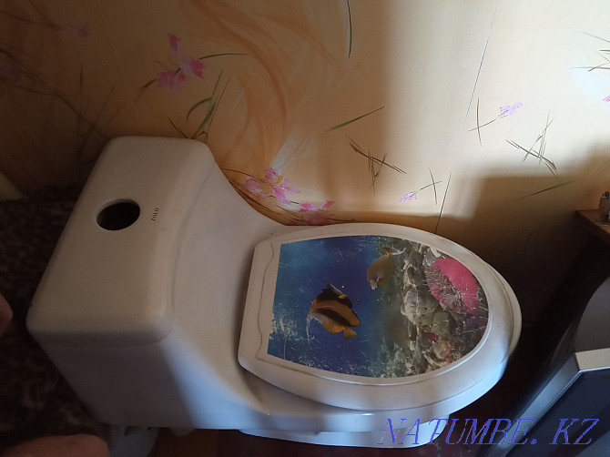 Used toilet in working order Semey - photo 1