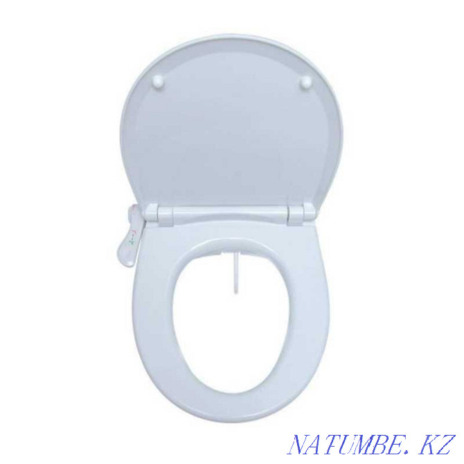 Bidet toilet seat ZNGB-15 Almaty - photo 2