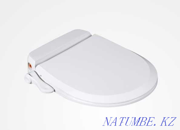 Bidet toilet seat ZNGB-15 Almaty - photo 1