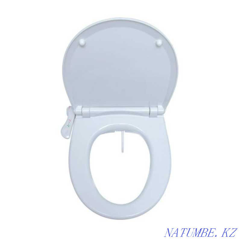 Bidet toilet seat ZNGB-15 Almaty - photo 2