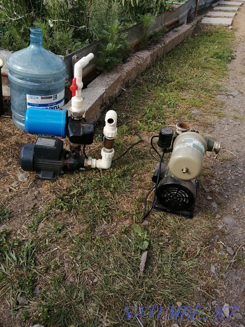 Sell pump crazy  - photo 2