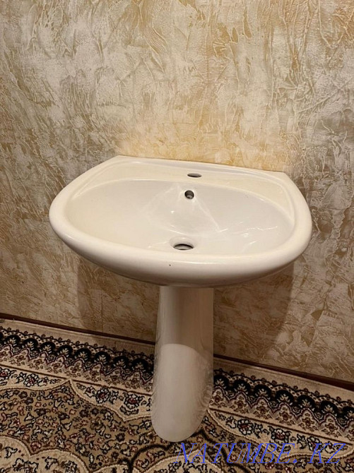 tulip shell for sale Abay - photo 3