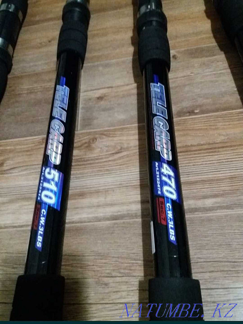 Rod Tele Carp 5.10 Aqtau - photo 5
