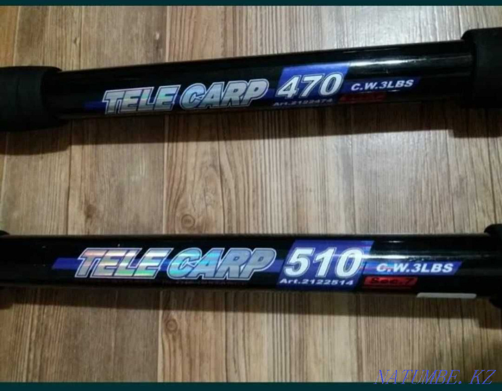 Rod Tele Carp 5.10 Aqtau - photo 1