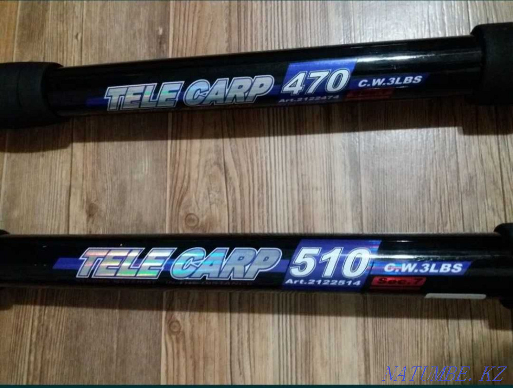 Rod Tele Carp 5.10 Aqtau - photo 4