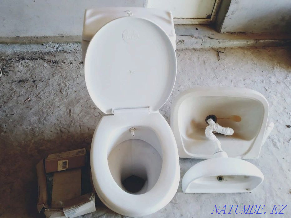 2х Тюльпан +Кафель в подарок Атырау - изображение 3