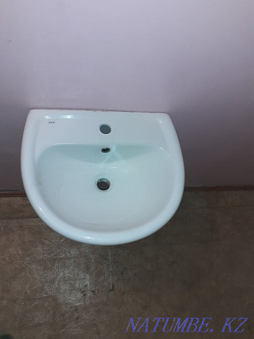 tulip shell for sale Almaty - photo 2