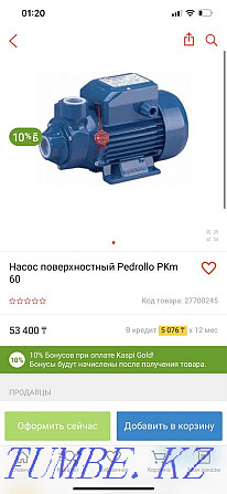 Pedrollo PKm 60 беттік сорғы  Алматы - изображение 5