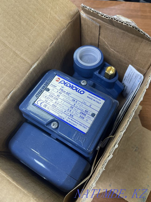 Surface pump Pedrollo PKm 60 Almaty - photo 2