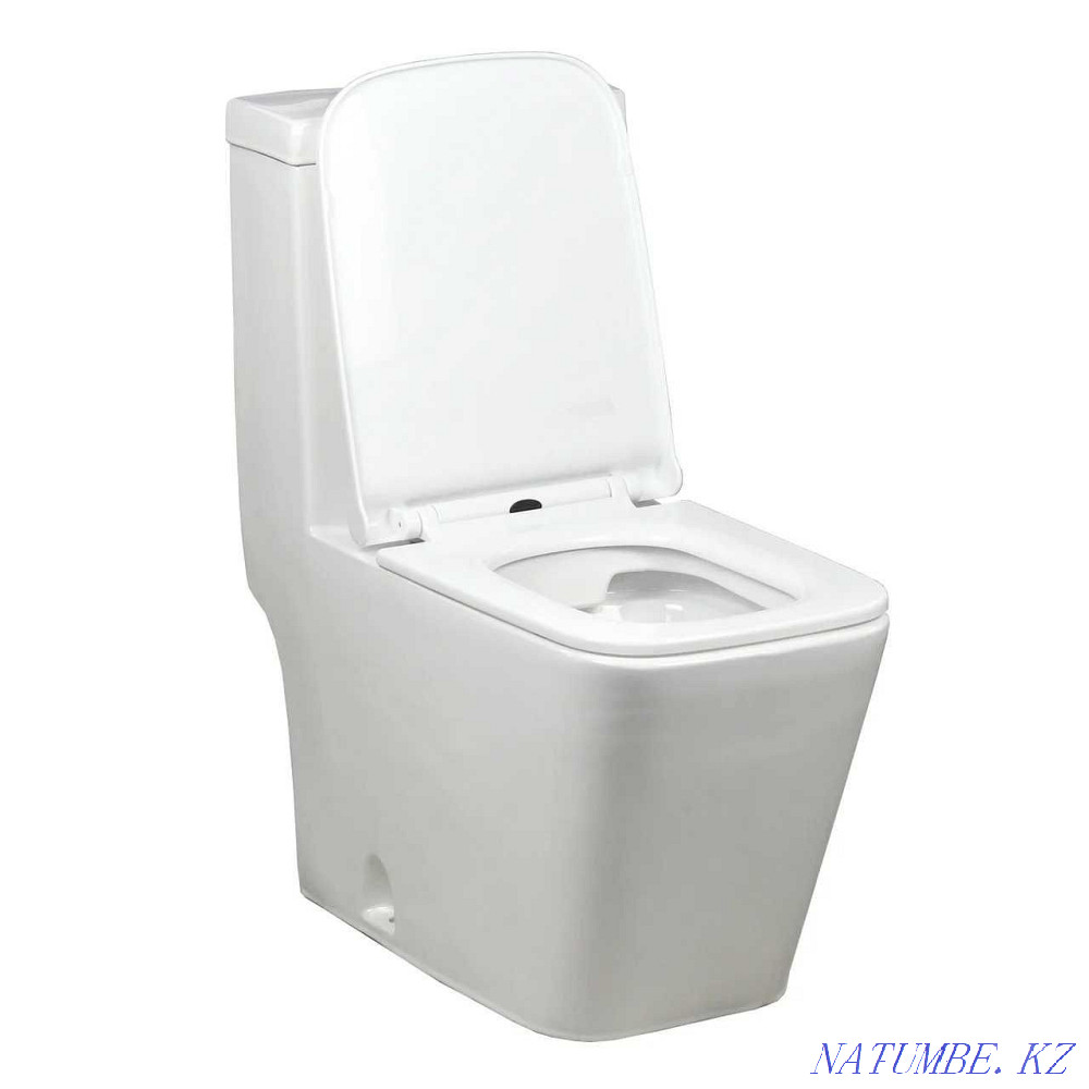 Toilet bowl cast without rim Gloria UN001 Almaty - photo 1