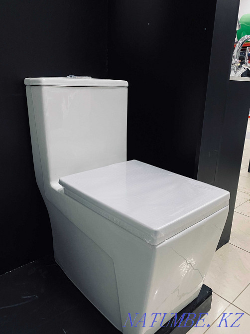 Toilet bowl monolithic monoblock (380х670) Muslook "ZL2226" Kostanay - photo 1