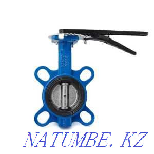 Butterfly valve disc PN 16 50 Ci Almaty - photo 1