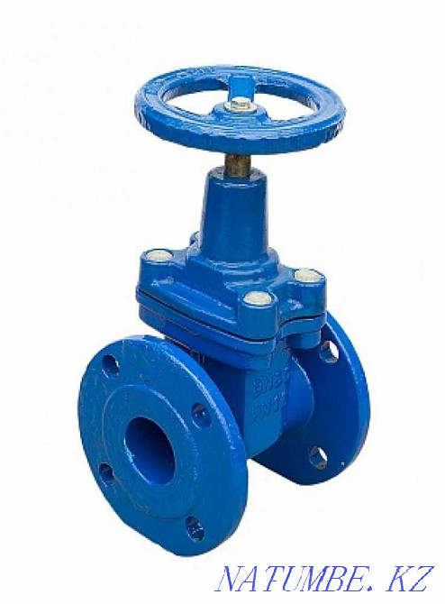 Flanged cast iron gate valve with rubber wedge PN16 DN50 Ci Almaty - photo 1