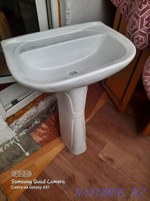 shell tulip Petropavlovsk - photo 1