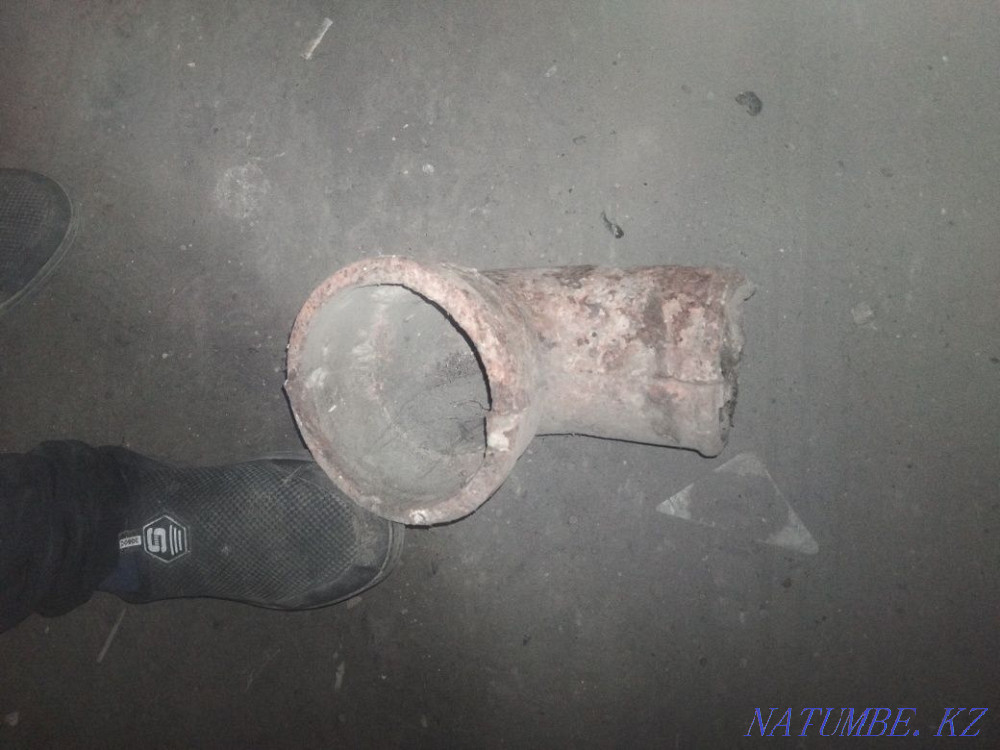 Шойын кәріз құбыры  отбасы  - изображение 2