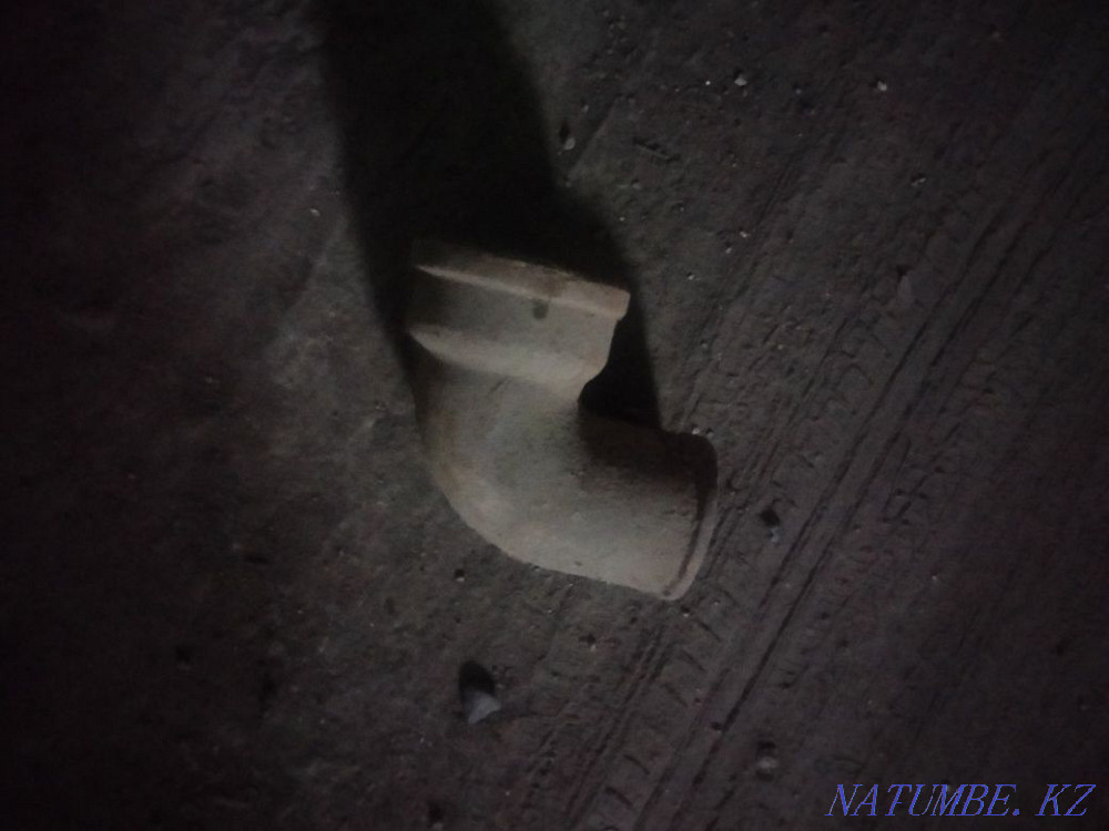 Шойын кәріз құбыры  отбасы  - изображение 1