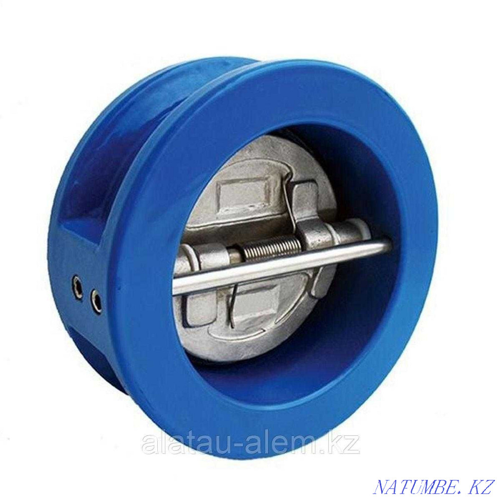 Обратный клапан хлопушка межфланцевый д50 Астана - изображение 1