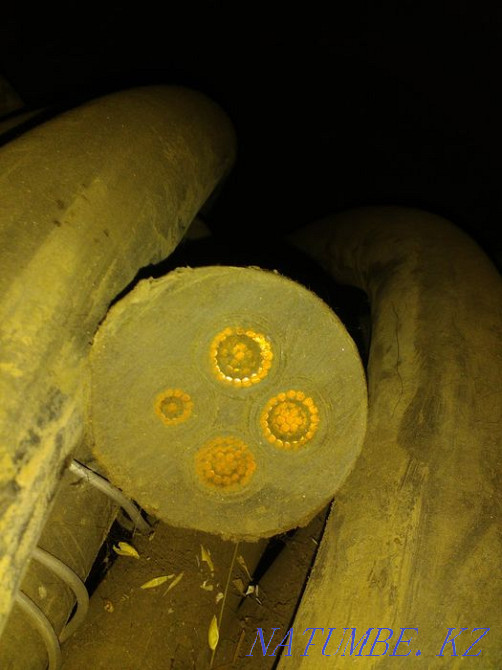 sell sell sell Petropavlovsk - photo 3