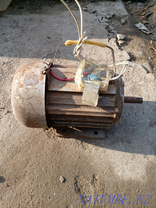 Электродвигатель Семей - изображение 1