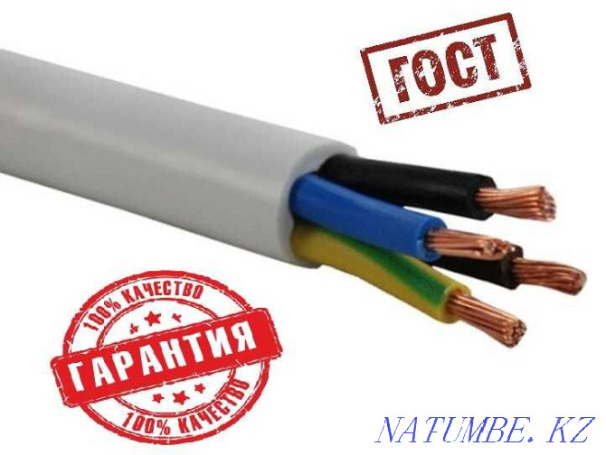 Cable PVA ng LS (TTR ng LS) 4*2.5 Almaty - photo 1