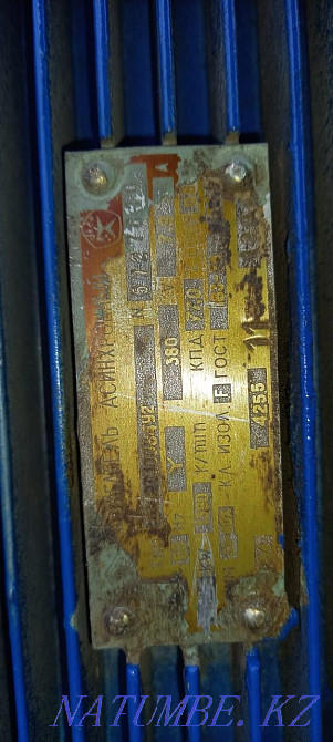 Electr motor Oral - photo 3