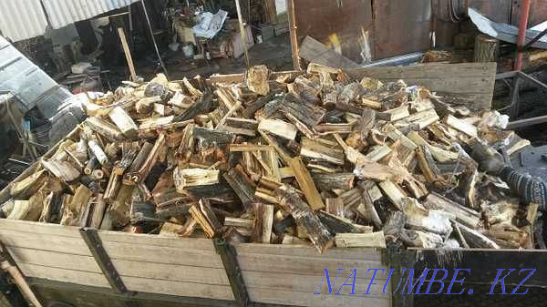 firewood of different types topal elm birch fruit Almaty - photo 1