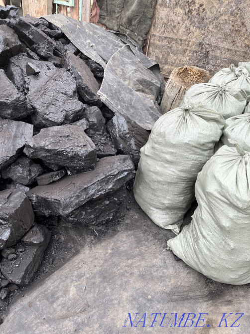 Shubarkul coal in bags1500tg Zhezqazghan - photo 2