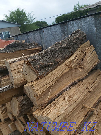 Chopped firewood, elm oak birch apple tree Almaty - photo 3