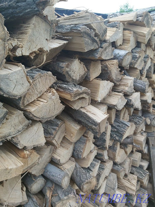 Chopped firewood, elm oak birch apple tree Almaty - photo 4