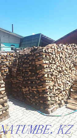 Karagach firewood, chopped Almaty - photo 1