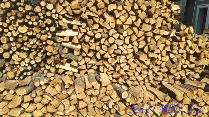 Karagach firewood, chopped Almaty - photo 4