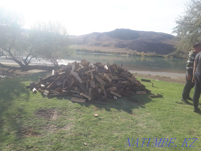 Karagach firewood, chopped Almaty - photo 7