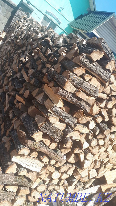 Қарағаш отыны, кесілген  Алматы - изображение 2