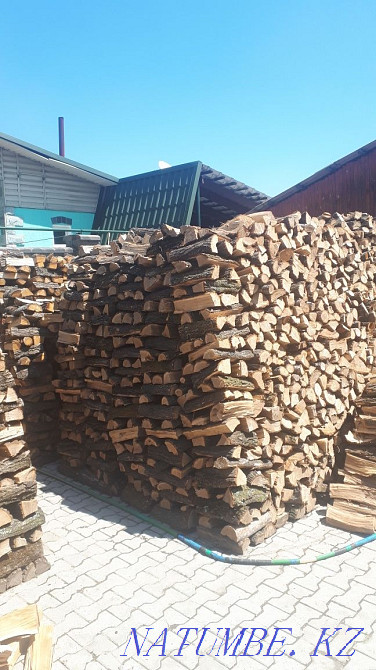 Қарағаш отыны, кесілген  Алматы - изображение 1