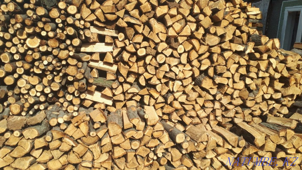 Қарағаш отыны, кесілген  Алматы - изображение 4