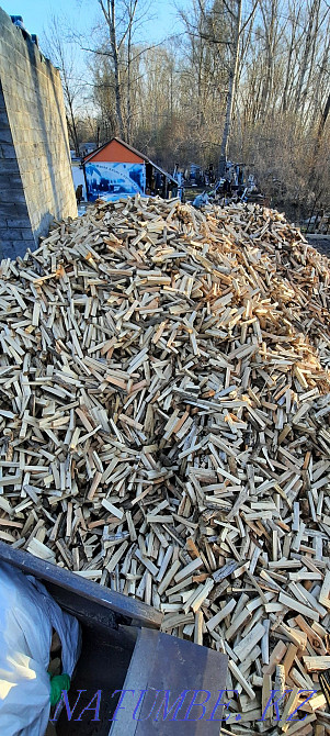 Дрова колотые осина / ива / тополь / береза / Зил Усть-Каменогорск - изображение 2