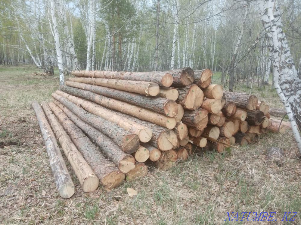 ЖЕТКІ ТАҚТА Ағаш  Қостанай  - изображение 5