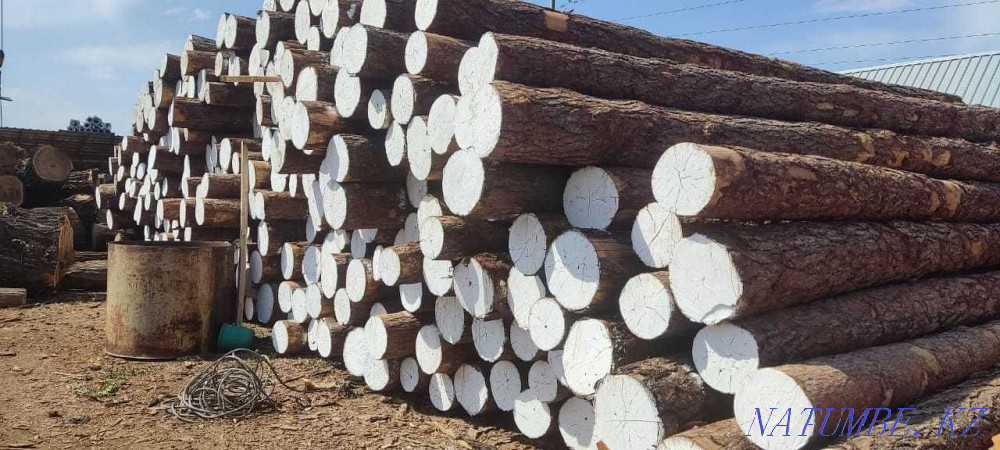 Sale of lumber wholesale and retail Almaty - photo 5