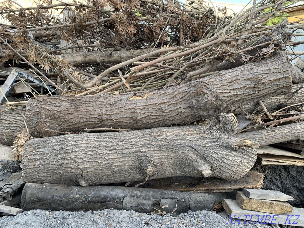 Дрова самовывоз, бесплатно , актуально до 26 мая Астана - изображение 1
