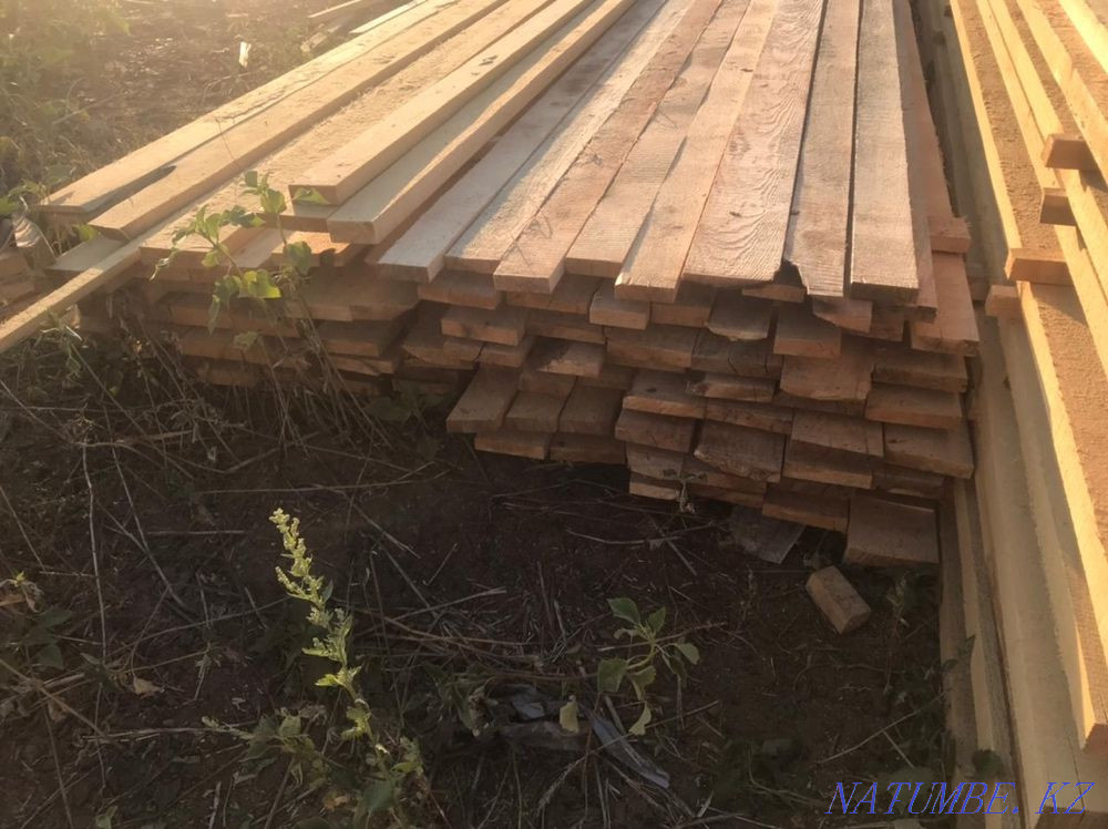 ағаш  отбасы  - изображение 5