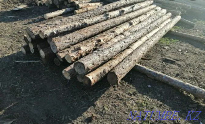 We sell poles and poles.  - photo 1
