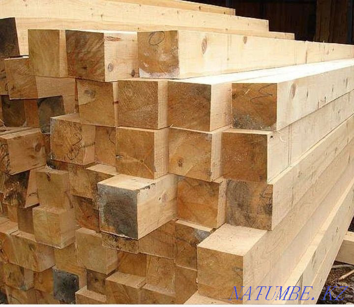 Forest edged fir pine Ust-Kamenogorsk - photo 2