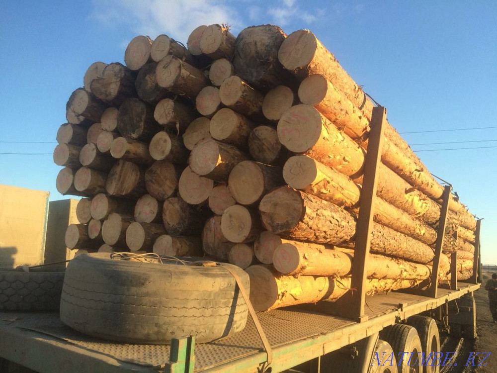 Пиломатериал,доска,брус Костанай - изображение 5