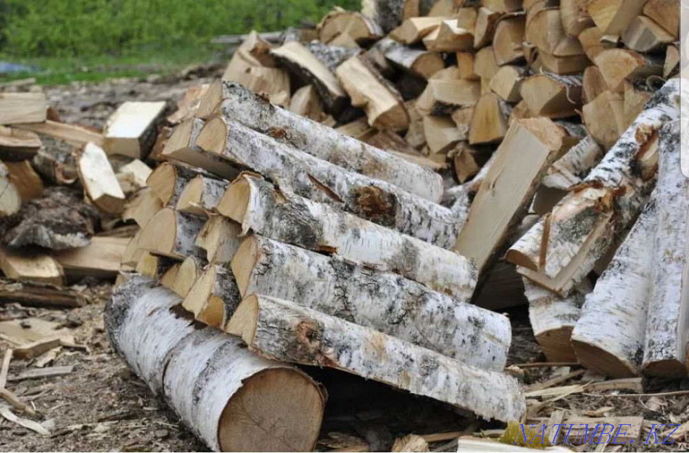Firewood chopped birch. Petropavlovsk - photo 1